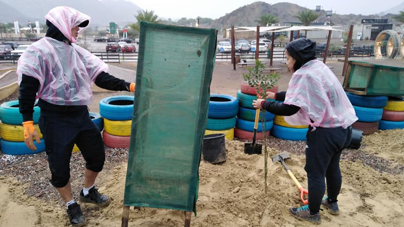 Filipinos plant trees in Dubai's Hatta on January 10, 2020.